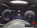 Alfa Romeo Stelvio 2.9 Quadrifoglio Aut. 520 AWD Rojo - thumbnail 19
