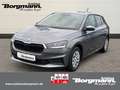 Skoda Fabia Active 1,0 TSI Apple CarPlay - Sitzheizung - Klima Grau - thumbnail 1