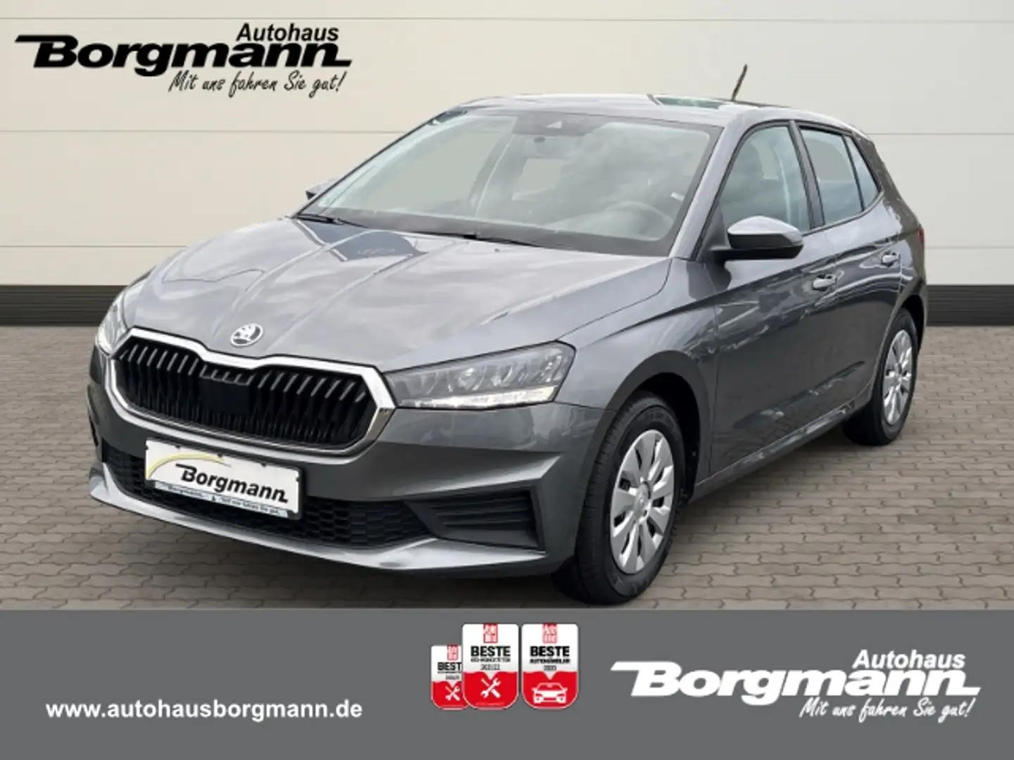 Skoda Fabia Active 1,0 TSI Apple CarPlay - Sitzheizung - Klima Grau - 1