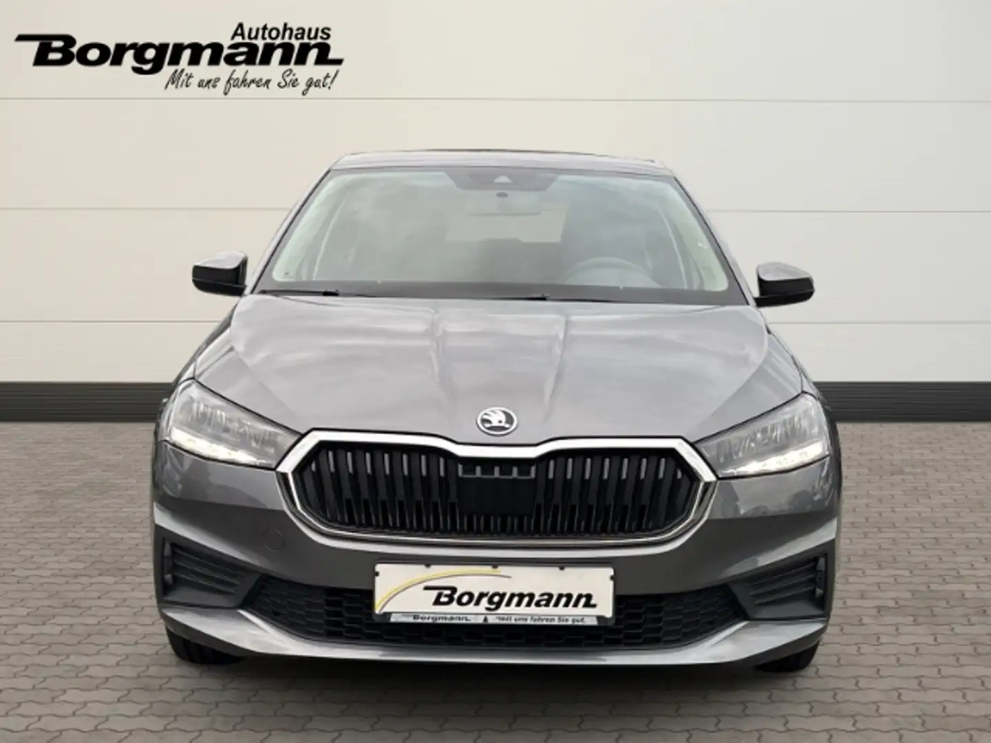 Skoda Fabia Active 1,0 TSI Apple CarPlay - Sitzheizung - Klima Grau - 2