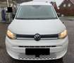 Volkswagen Caddy 2.0 TDI 122 CV Life Bianco - thumbnail 8
