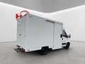 Iveco Daily Foodtruck Imbisswagen /Automatik Blanc - thumbnail 3