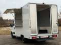 Iveco Daily Foodtruck Imbisswagen /Automatik Blanc - thumbnail 6