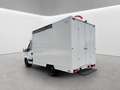 Iveco Daily Foodtruck Imbisswagen /Automatik Blanc - thumbnail 4
