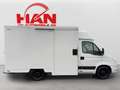 Iveco Daily Foodtruck Imbisswagen /Automatik Blanc - thumbnail 5