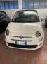 Fiat 500 500 1.0 hybrid Dolcevita 70cv Bianco - thumbnail 1