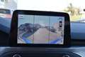 Ford Focus 1.0 EcoBoost 125 CV 5p. Titanium Blu/Azzurro - thumbnail 11