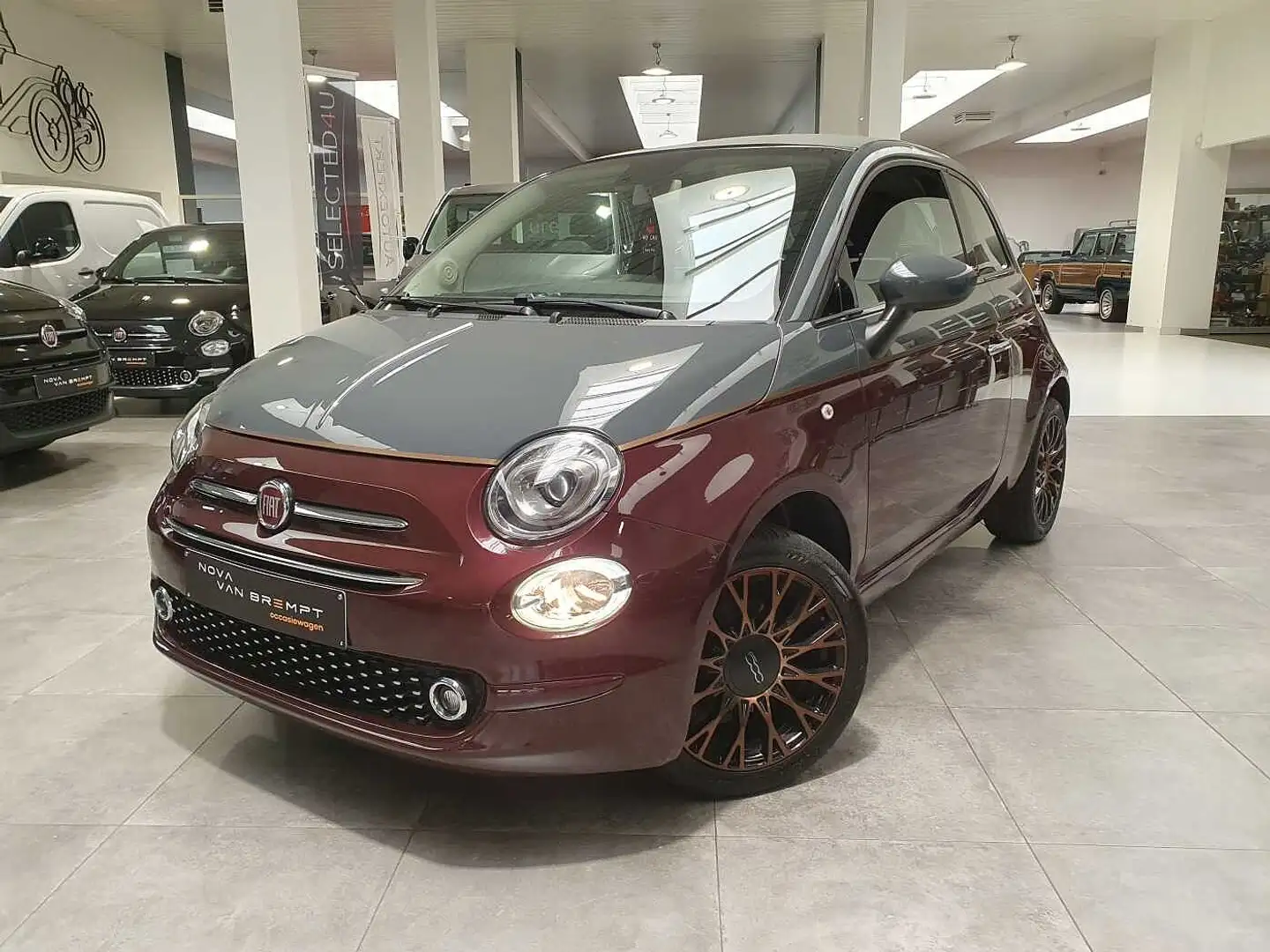 Fiat 500C 1.2i Collezione 69PK met PANODAK+ PARKS A Rood - 1