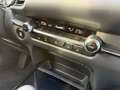 Mazda CX-30 Homura 2WD 137 kW (186 PS), Autom. 6-Gang Schwarz - thumbnail 21