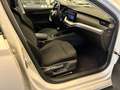 Skoda Octavia Combi 2,0 TDI Business *1. Bes./Virtual/LED* Weiß - thumbnail 14