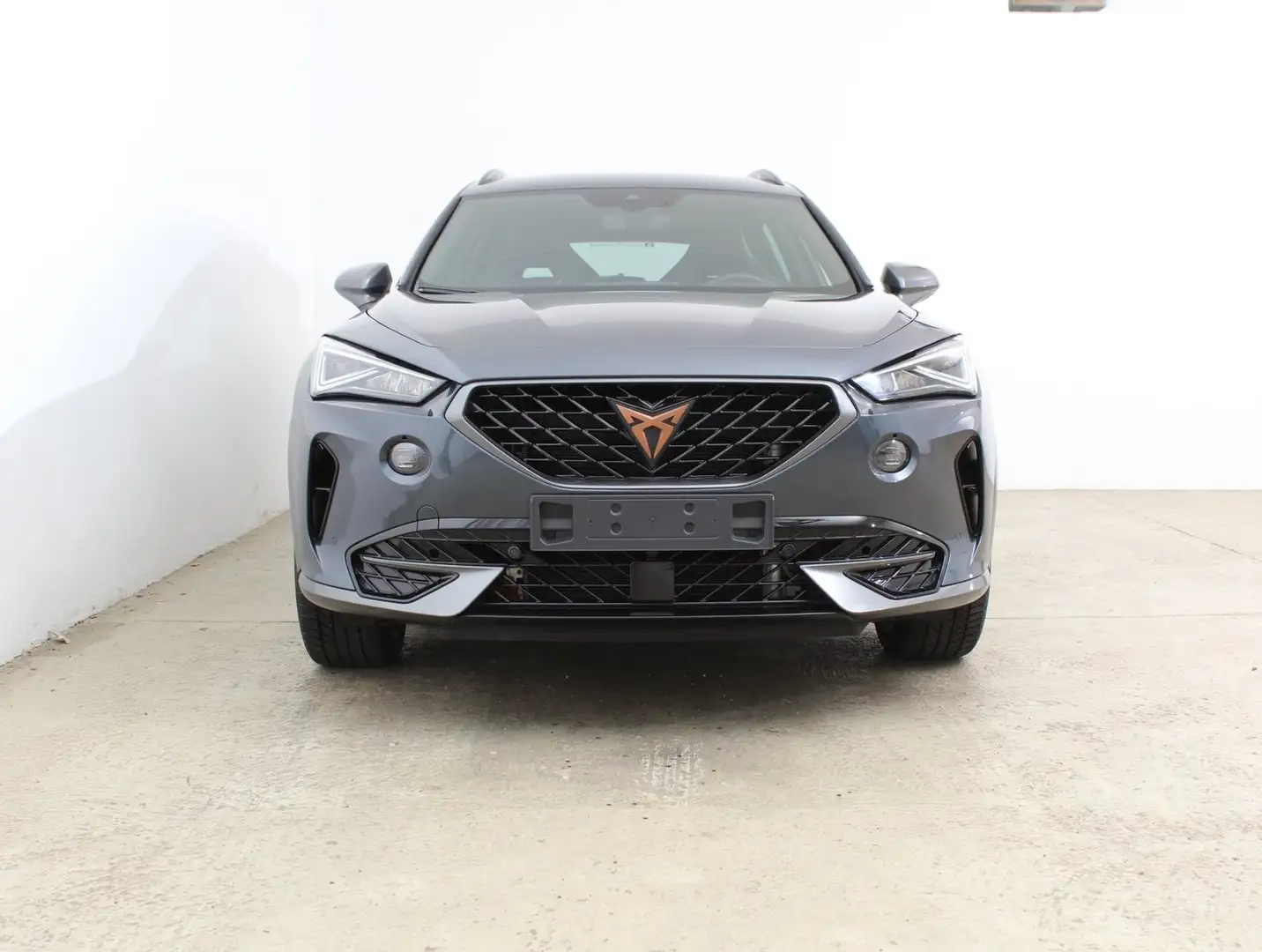 CUPRA Formentor VZ e-HYBRID 245 PS DSG Grau - 2