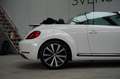 Volkswagen Beetle Cabriolet 1.4 TSI Sport Fender Sound|Xenon|Leder|K Blanc - thumbnail 37