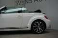 Volkswagen Beetle Cabriolet 1.4 TSI Sport Fender Sound|Xenon|Leder|K Blanc - thumbnail 19