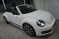 Volkswagen Beetle Cabriolet 1.4 TSI Sport Fender Sound|Xenon|Leder|K Blanc - thumbnail 40