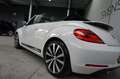Volkswagen Beetle Cabriolet 1.4 TSI Sport Fender Sound|Xenon|Leder|K Blanc - thumbnail 17