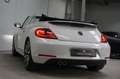 Volkswagen Beetle Cabriolet 1.4 TSI Sport Fender Sound|Xenon|Leder|K Blanc - thumbnail 29