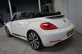 Volkswagen Beetle Cabriolet 1.4 TSI Sport Fender Sound|Xenon|Leder|K Blanc - thumbnail 20