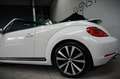 Volkswagen Beetle Cabriolet 1.4 TSI Sport Fender Sound|Xenon|Leder|K Blanc - thumbnail 26