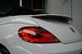 Volkswagen Beetle Cabriolet 1.4 TSI Sport Fender Sound|Xenon|Leder|K Blanc - thumbnail 25
