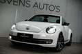 Volkswagen Beetle Cabriolet 1.4 TSI Sport Fender Sound|Xenon|Leder|K Blanc - thumbnail 2