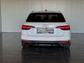 Audi A4 Avant 40 TDI S line VIRTUAL*MATRIX*KAMERA*1.BESITZ Weiß - thumbnail 6
