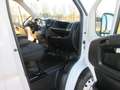 Citroen Jumper 2.2 BLUEHDI 140 CV. BOXATO Bianco - thumbnail 7