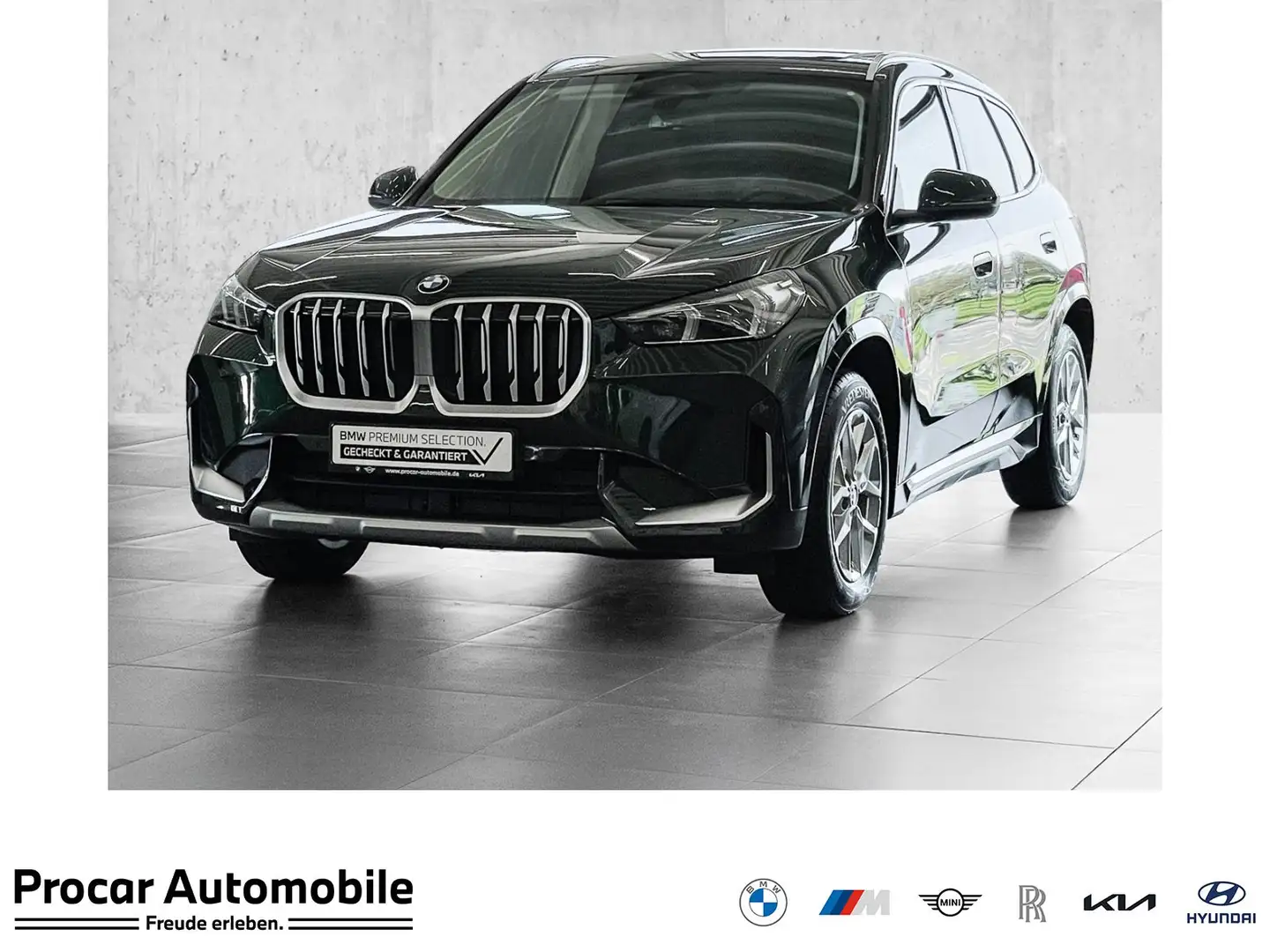 BMW X1 sDrive20d xLine Aut. PANO ACC AHK RFK LED Grün - 1