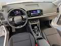 Skoda Karoq Selection 1.5TSI DSG 360-Grad-Kamera NAVI Weiß - thumbnail 8