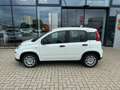 Fiat Panda 1.0 Hybrid+Komfortpaket+5Sitz Wit - thumbnail 3