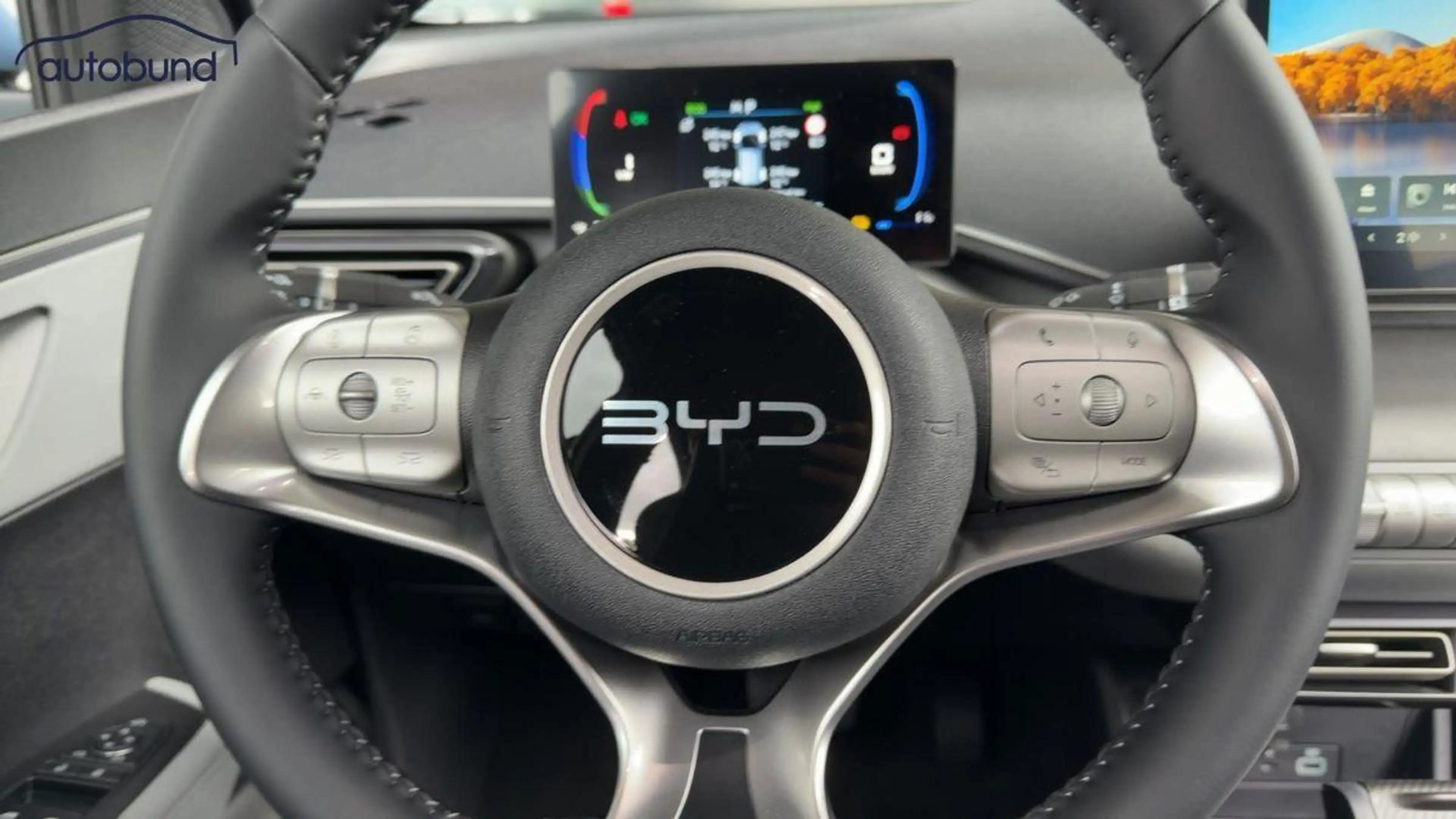 BYD Dolphin Surf Comfort Alu LED Link NAV NBA PDC RFK SHA Shz — photo 10