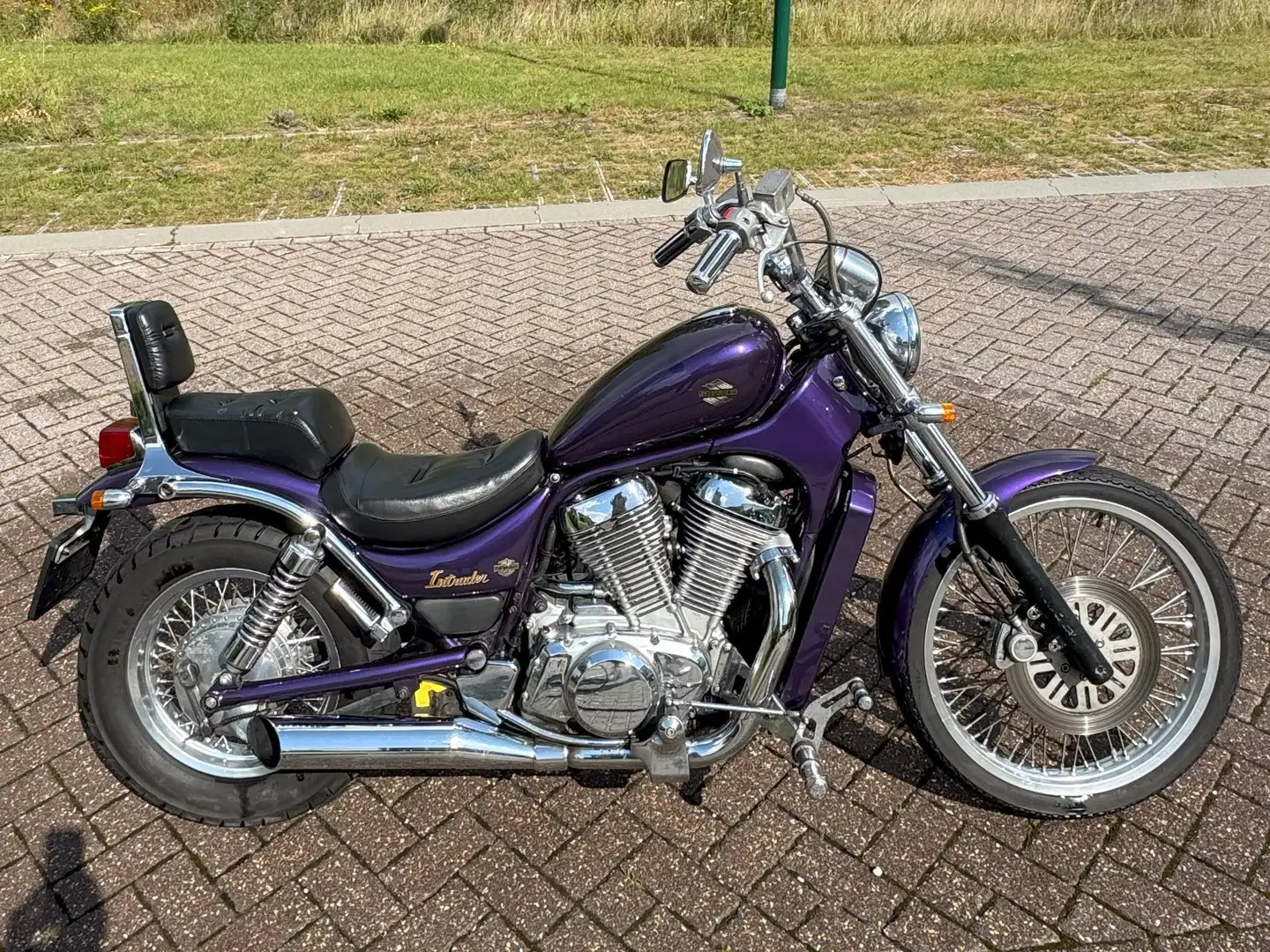 Suzuki VS 800 GLP Paars - 2