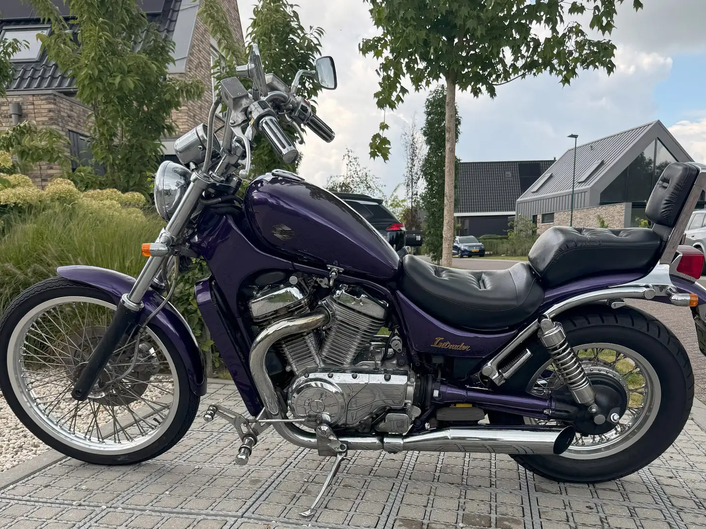 Suzuki VS 800 GLP Paars - 1