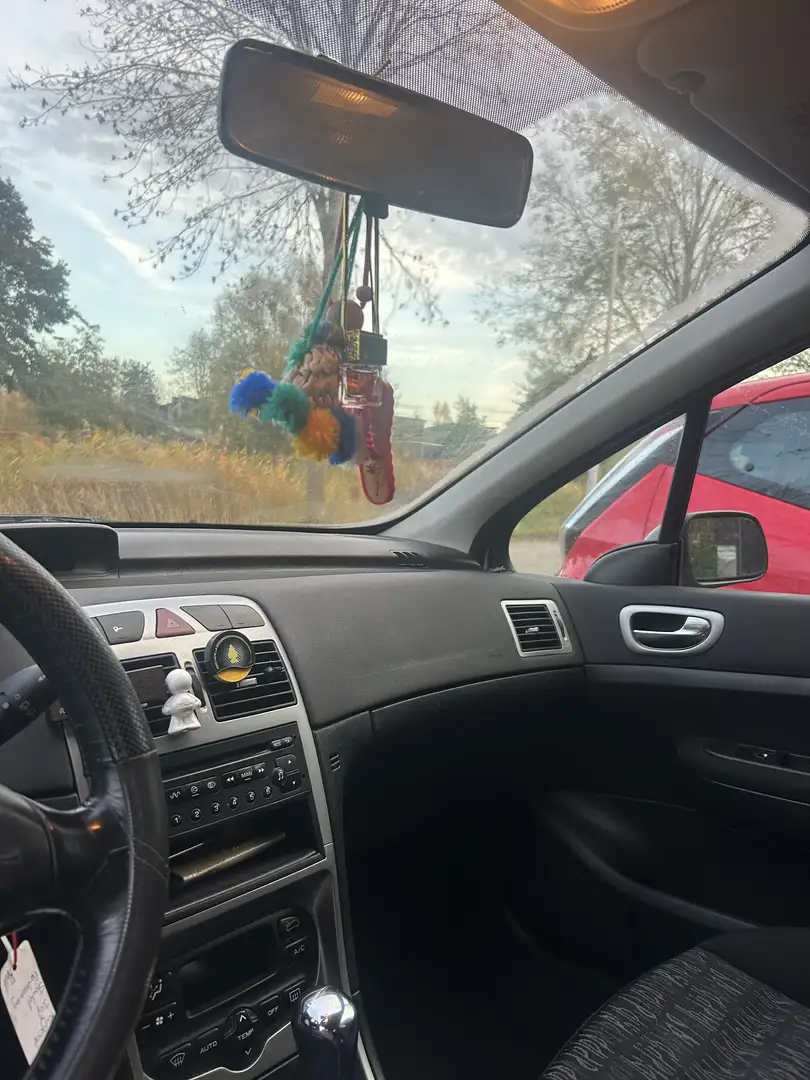 Peugeot 307 1.6-16V XS Grigio - 2