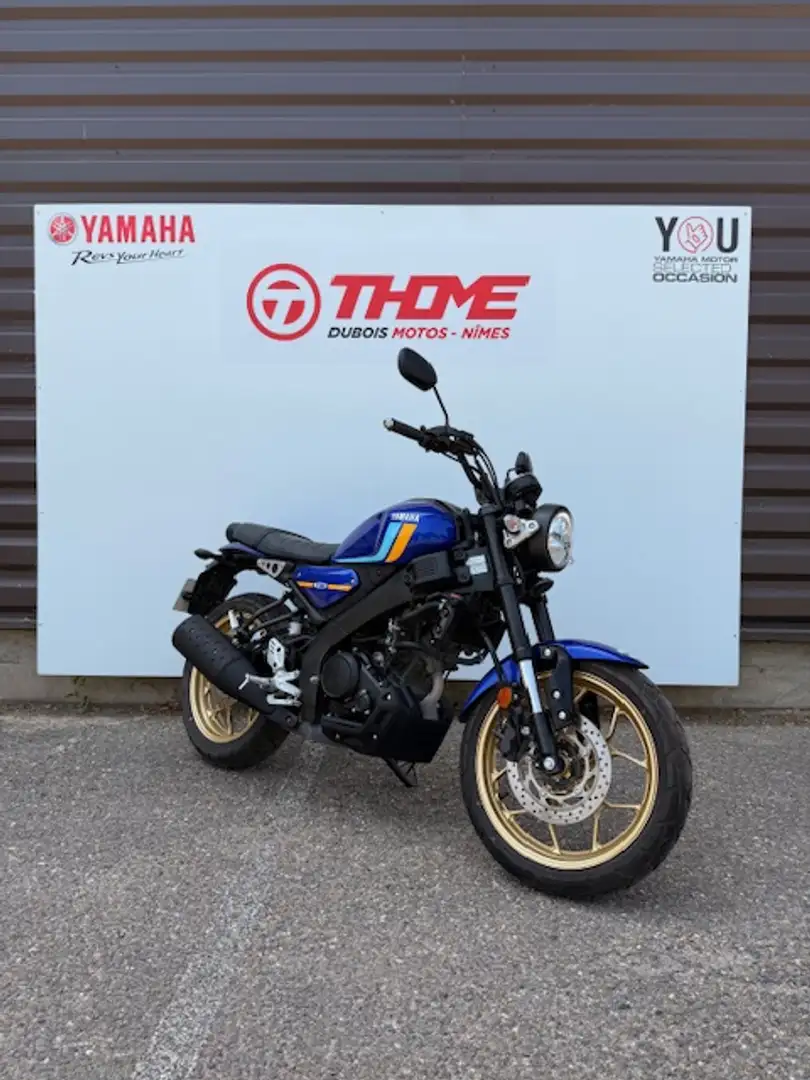 Yamaha XSR 125 Blau - 2