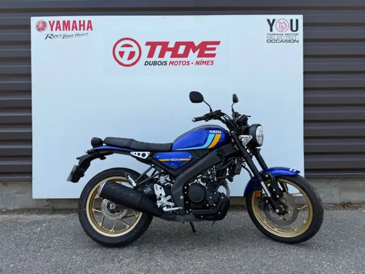 Yamaha XSR 125 Blau - 1