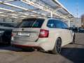 Skoda Octavia 2.0 TSI RS 60 FACEL. LED STANDHZ NAVI Grau - thumbnail 2