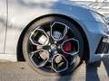 Skoda Octavia 2.0 TSI RS 60 FACEL. LED STANDHZ NAVI Grau - thumbnail 9