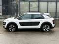 Citroen C4 Cactus 1.2 PureTech / Automaat! / Business Weiß - thumbnail 3