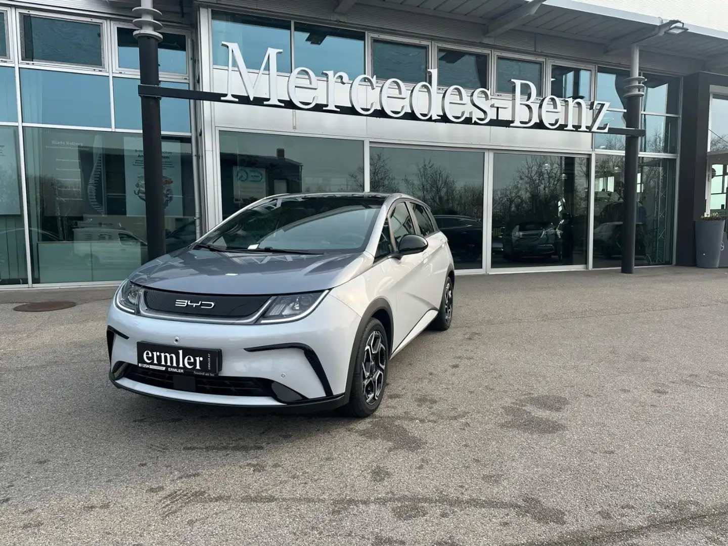 BYD Dolphin Design Vorführwagen Probefahrten möglich Blanc - 2