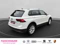 Volkswagen Tiguan 2.0 TSI Highline 4Motion  AHK Standheizung Weiß - thumbnail 6
