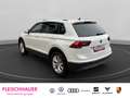 Volkswagen Tiguan 2.0 TSI Highline 4Motion  AHK Standheizung Weiß - thumbnail 4