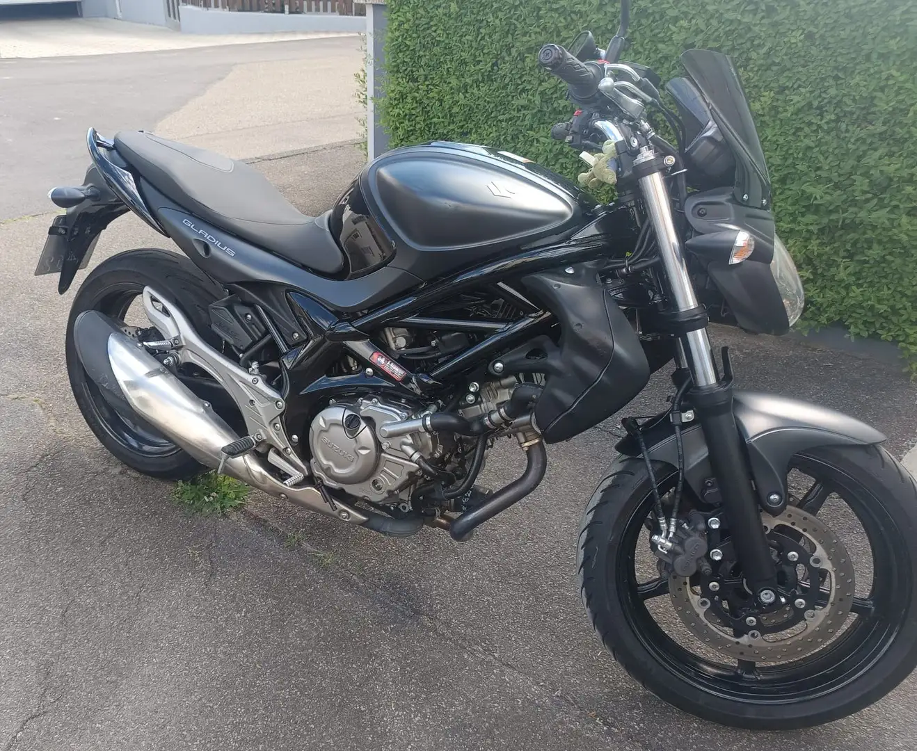 Suzuki Gladius 650 Noir - 1