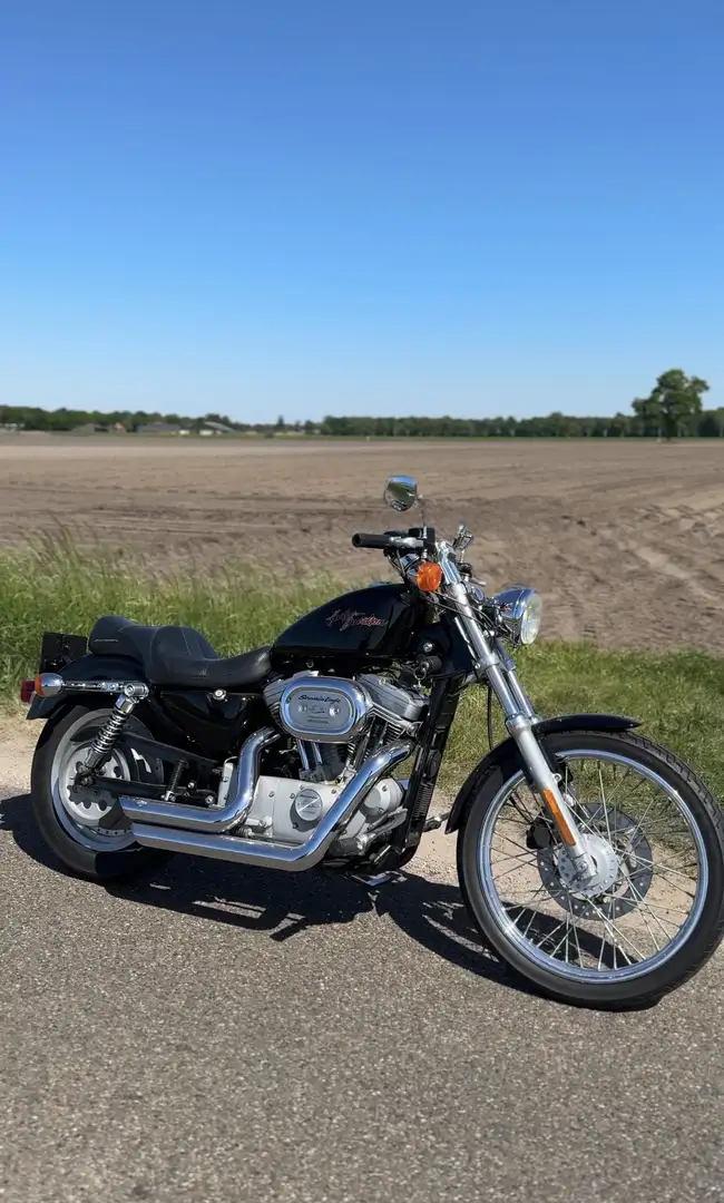 Harley-Davidson XL 883 XL53C Custom - 1
