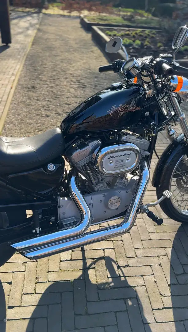 Harley-Davidson XL 883 XL53C Custom - 2