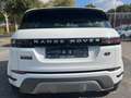 Land Rover Range Rover Evoque S°1.Hand°Leder°Kamera°ACC° Blanc - thumbnail 4