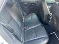 Land Rover Range Rover Evoque S°1.Hand°Leder°Kamera°ACC° Blanc - thumbnail 14