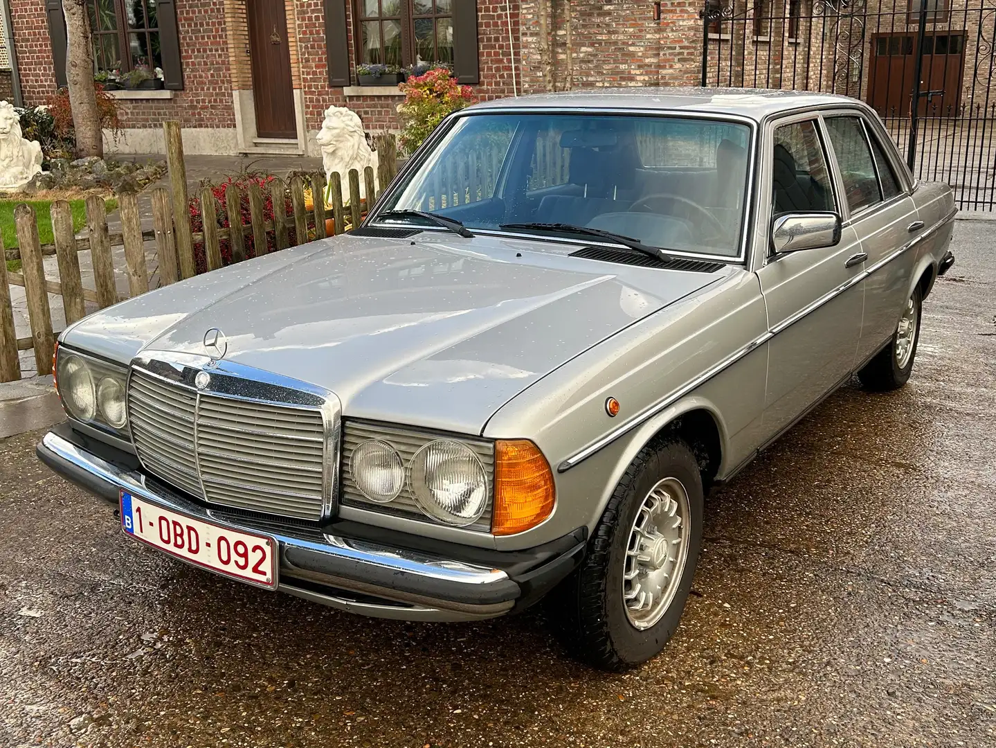 Mercedes-Benz 250 Stříbrná - 1