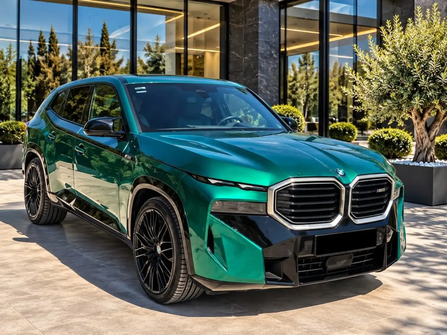 BMW XM 480 kW (653 CV) Verde - 2
