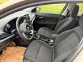 Fiat Tipo Braun - thumbnail 7