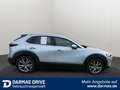 Mazda CX-30 CX-30 2,0 2WD Automatik Selection Navi HuD LED - thumbnail 5